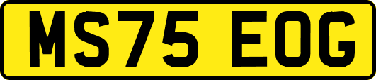 MS75EOG
