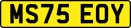 MS75EOY