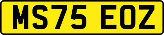 MS75EOZ