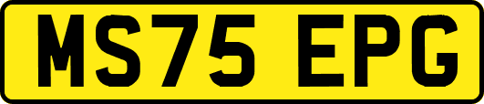 MS75EPG