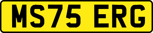 MS75ERG