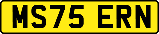 MS75ERN