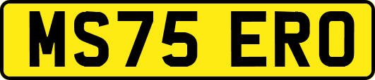 MS75ERO