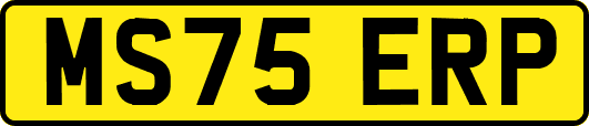 MS75ERP