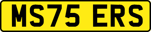 MS75ERS
