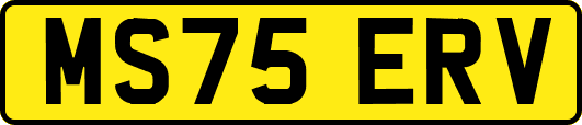 MS75ERV