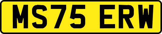 MS75ERW