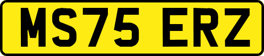 MS75ERZ