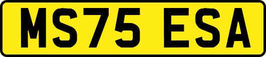 MS75ESA