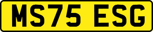 MS75ESG