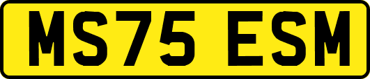 MS75ESM