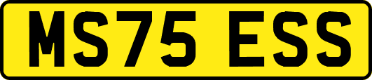 MS75ESS