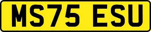 MS75ESU