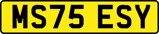 MS75ESY