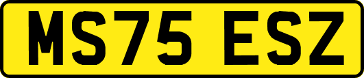 MS75ESZ