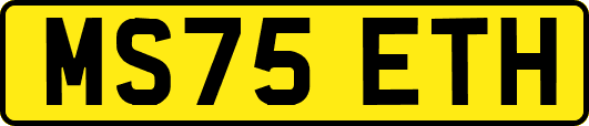 MS75ETH