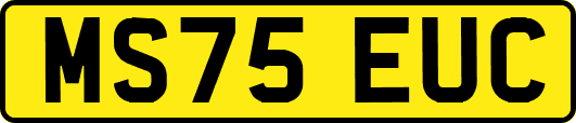 MS75EUC