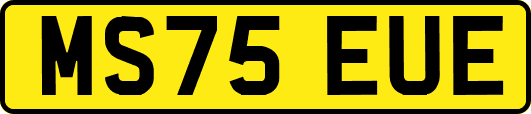 MS75EUE