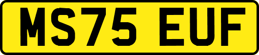 MS75EUF