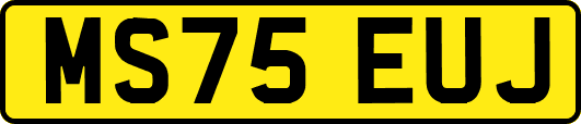 MS75EUJ