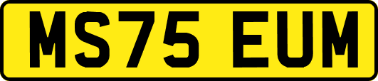 MS75EUM