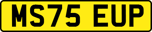 MS75EUP