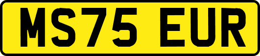 MS75EUR