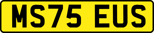 MS75EUS