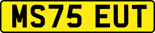 MS75EUT