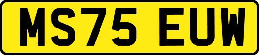 MS75EUW