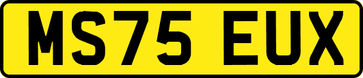 MS75EUX