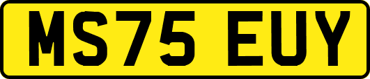MS75EUY