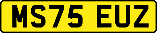 MS75EUZ