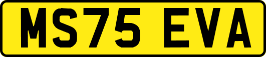 MS75EVA