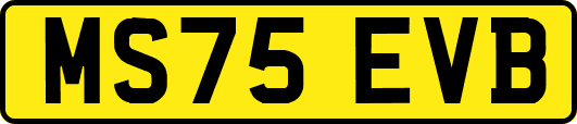 MS75EVB
