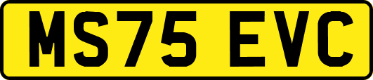 MS75EVC
