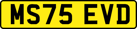 MS75EVD