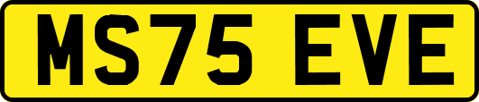 MS75EVE