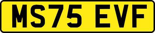 MS75EVF
