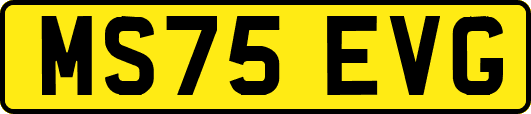 MS75EVG
