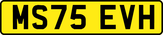 MS75EVH