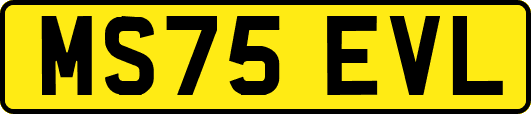 MS75EVL