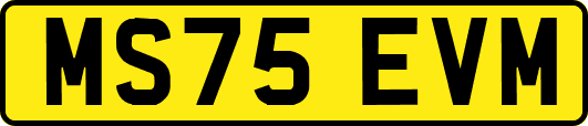 MS75EVM