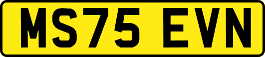 MS75EVN