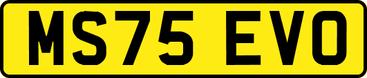MS75EVO