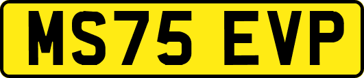 MS75EVP