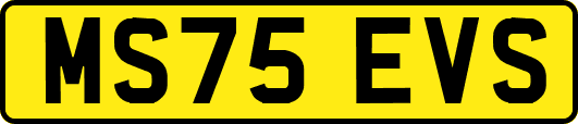 MS75EVS