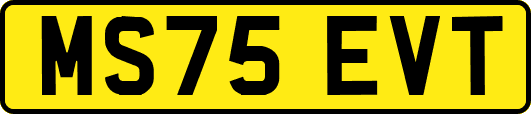 MS75EVT
