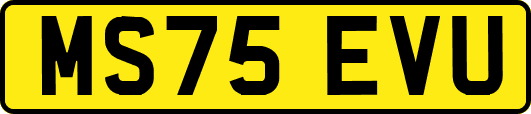 MS75EVU