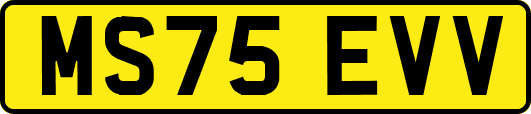 MS75EVV